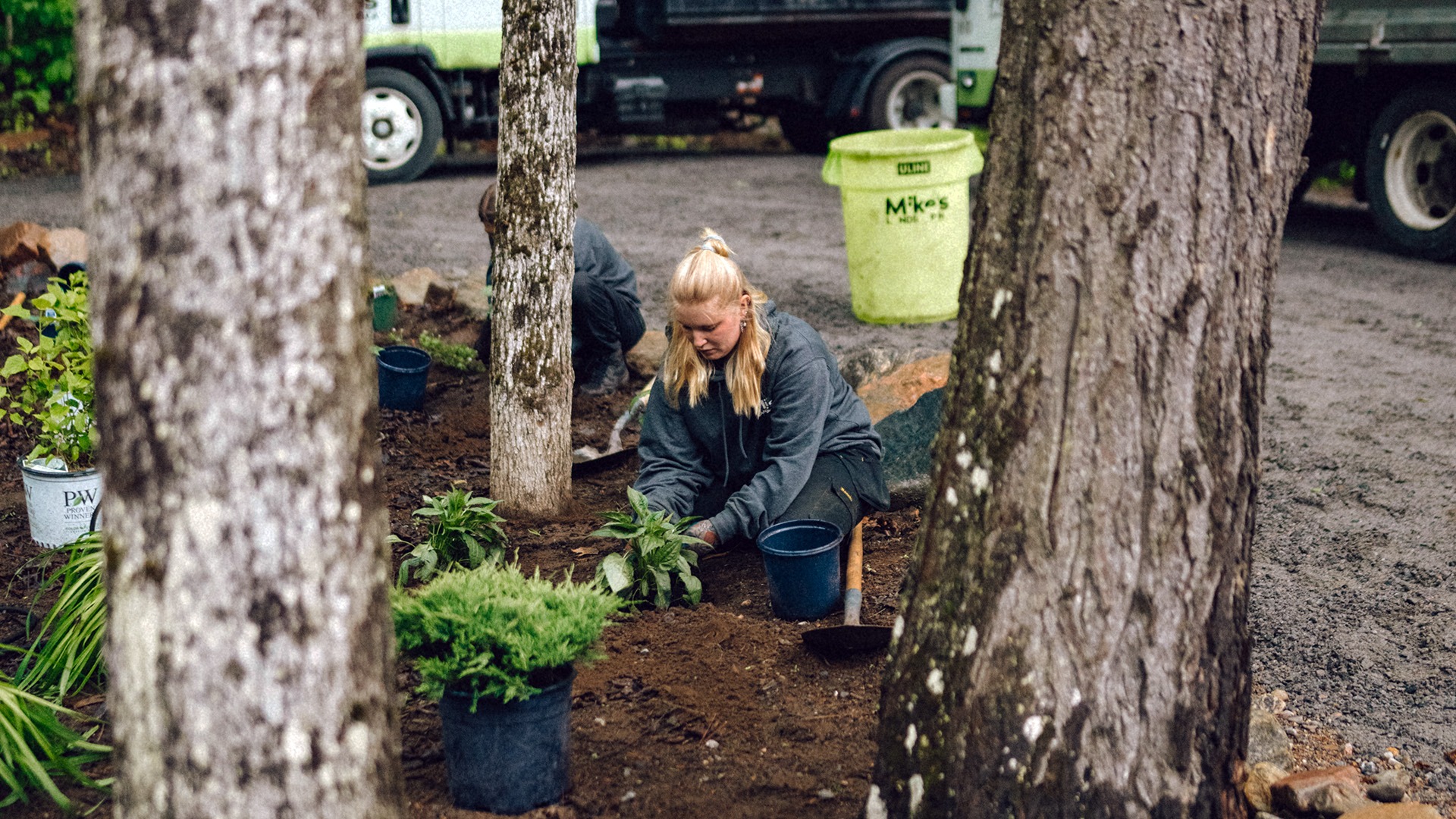 A person tends to plants in a park between trees, with a truck and tools nearby, creating a natural setting.