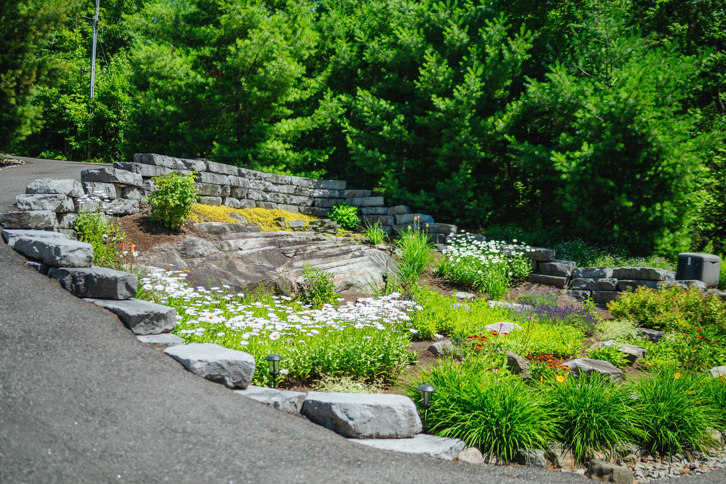 A lush garden scene with stone steps and path, surrounded by various green plants and white flowers, set against a dense tree backdrop.