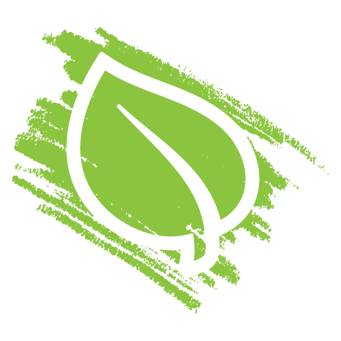 A white leaf outline on a green brushstroke background, symbolizing nature or eco-friendly themes, with no people or landmarks present.