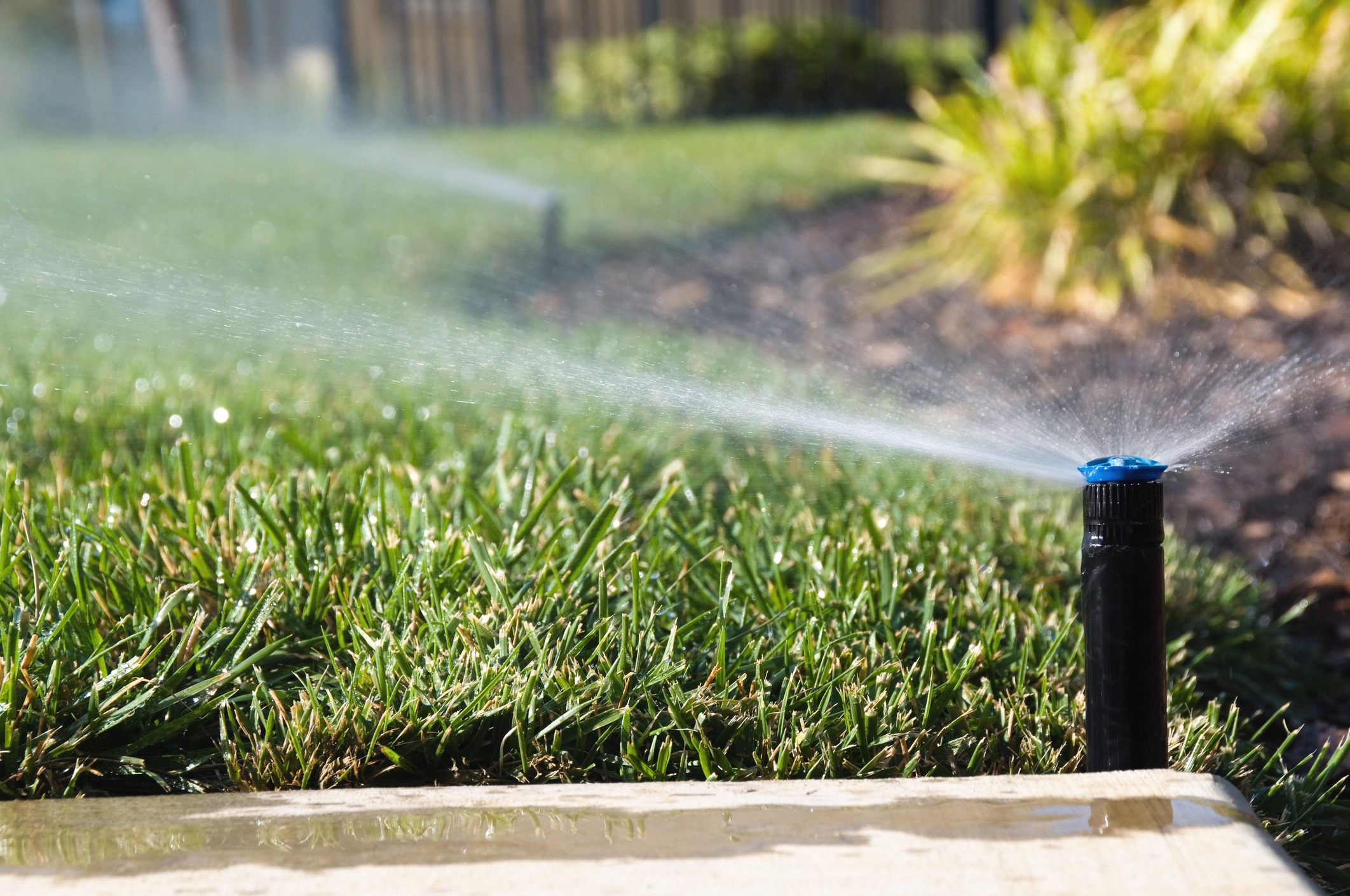 A garden sprinkler waters lush green grass under bright sunlight, with surrounding foliage and blurred background. There are no people visible.
