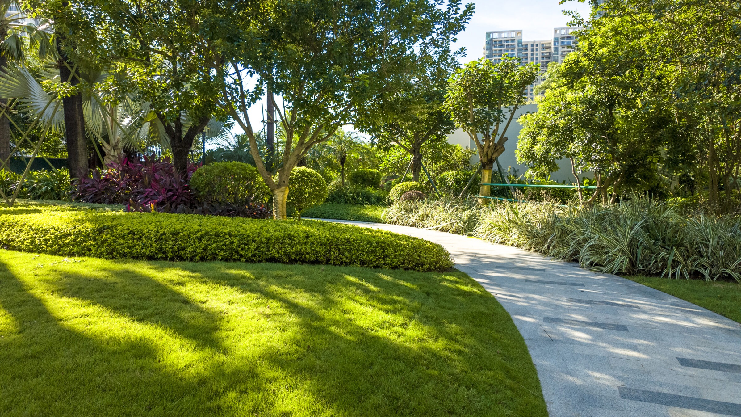 A lush park with a winding path, vibrant greenery, and tall trees. Buildings are visible in the background under a clear sky.